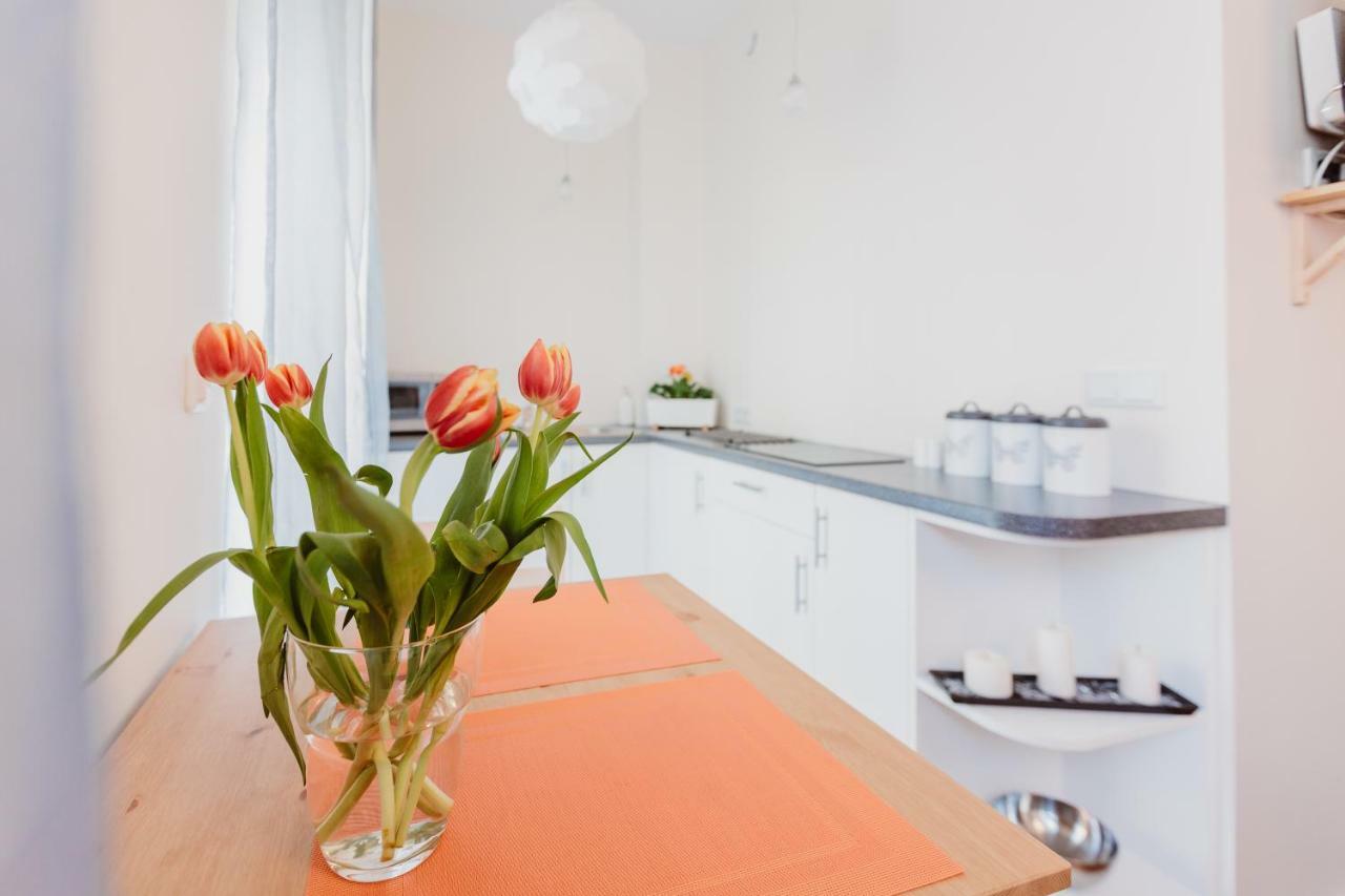 Garden Apartment Krakow Bagian luar foto